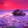 Pink Scenery paint by numbers