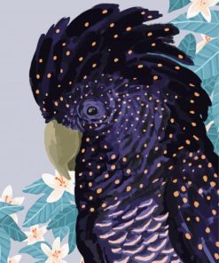 Black Cockatoo Illustration paint by numbers