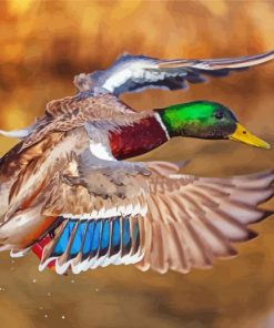 Incoming Mallard paint by numbers