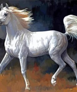 White Arabian Horse paint by numbers