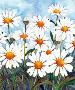 White Daisy Flowers paint by numbers