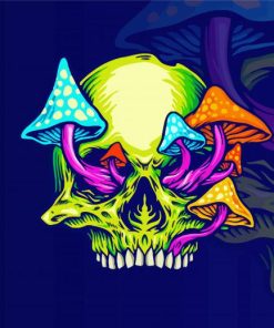 Colorful Mushroom Skull paint by numbers