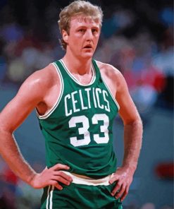 Basketball Player Larry Bird paint by numbers