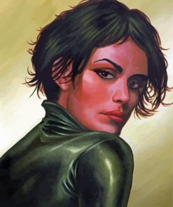 Selina Kyle paint by numbers