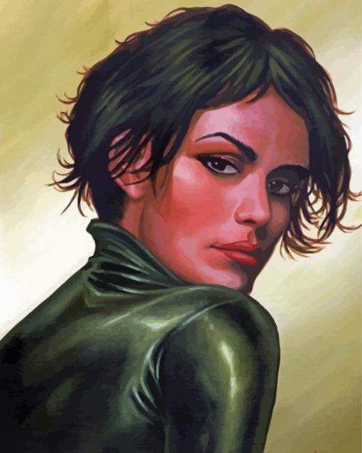 Selina Kyle paint by numbers