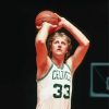 Young Larry Bird paint by numbers