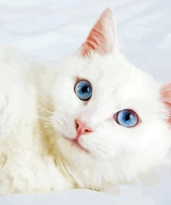 Beautiful White Cat paint by numbers