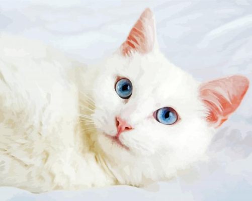 Beautiful White Cat paint by numbers