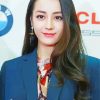 Cute Dilraba Dilmurat paint by numbers