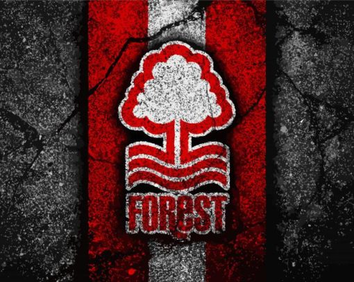 Nottingham FC Logo Paint By Numbers