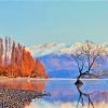 Arrowtown South Island Paint By Numbers