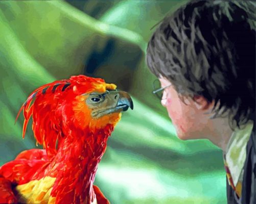 Fawkes Bird Harry Potter paint by numbers