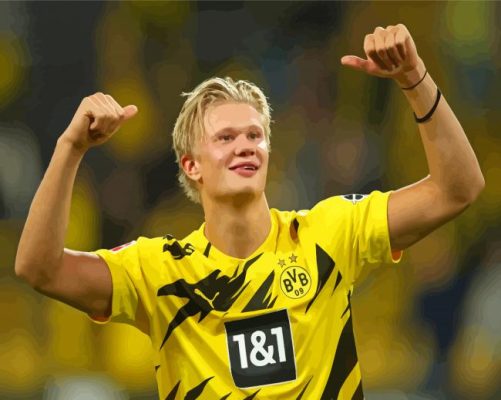 Footballer Erling Haaland Paint By Numbers