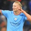 Footballer Erling Haaland Paint By Numbers