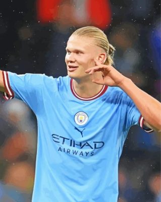 Footballer Erling Haaland Paint By Numbers