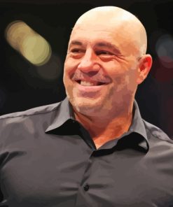 Joe Rogan Paint By Numbers