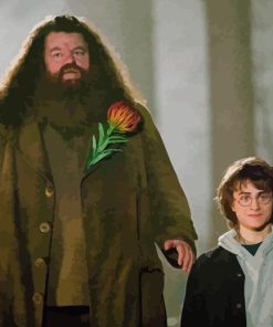 Rubeus Hagrid And Harry Paint By Numbers