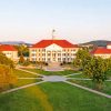 James Madison University Paint By Numbers