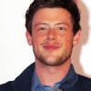 Cory Monteith Paint By Numbers