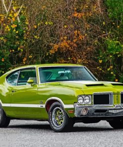 Aesthetic Oldsmobile 442 Paint By Numbers