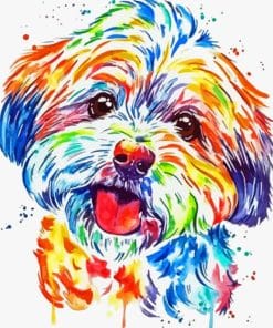 Colorful Shorkie Dog Paint By Number