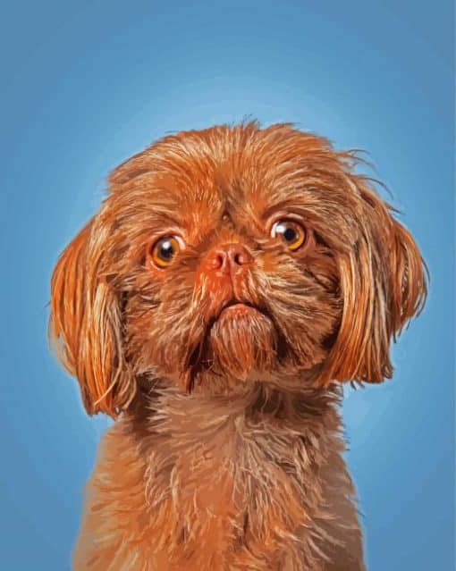 Golden Shorkie Paint By Number