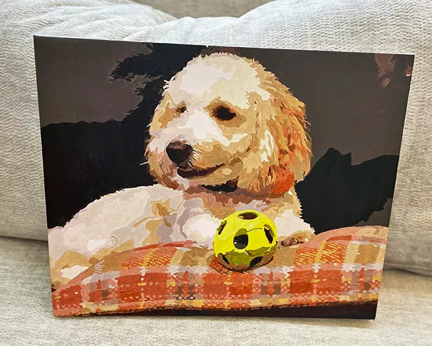 Paint By Numbers Custom​ Pets reviews 2